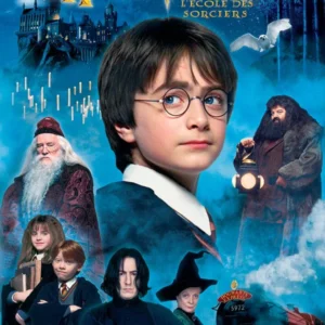 Harry Potter à l'école des sorciers
